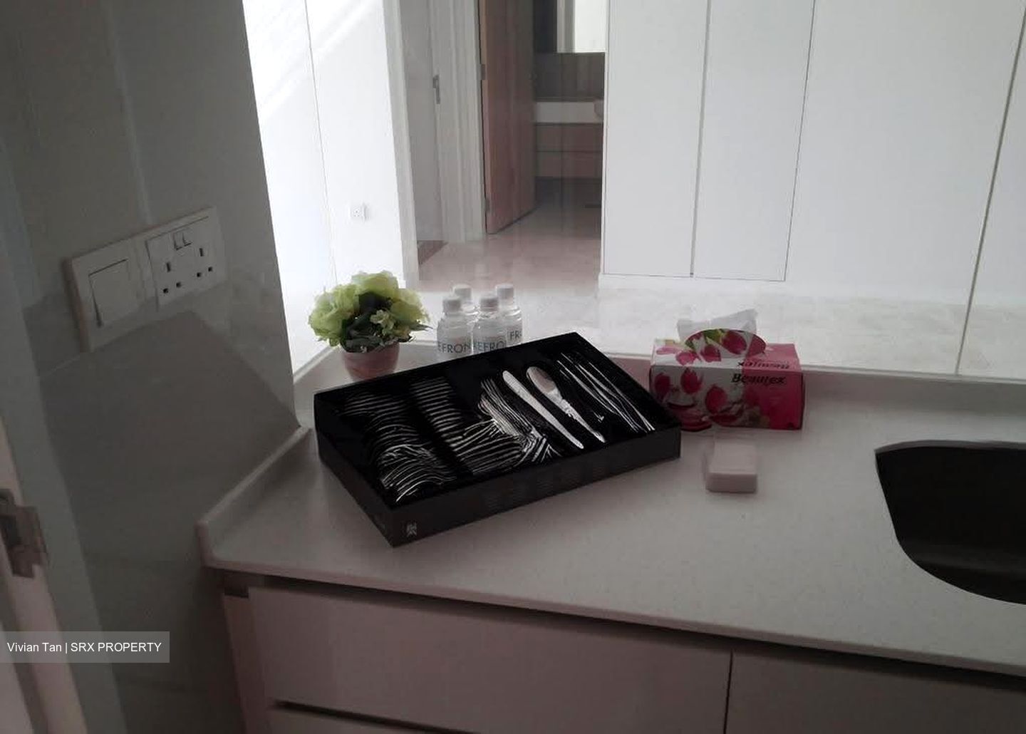 The Lakefront Residences (D22), Condominium #609577611